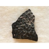 Skořápka z vejce dinosaura